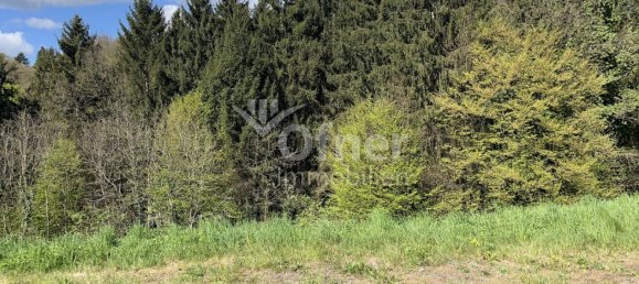  عقار تجاري في Krottendorf-Gaisfeld, Austria رقم 132240 19