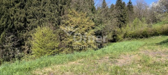  عقار تجاري في Krottendorf-Gaisfeld, Austria رقم 132240 26