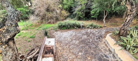 Casa de 6 dormitorios en Cádiz, Spain No. 29232 44