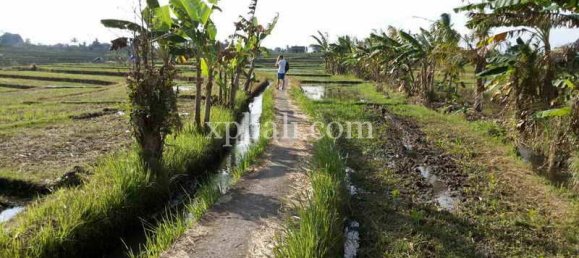 Terrain à Mengwi, Indonesia 1840m² No. 3808 4