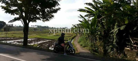 Terrain à Mengwi, Indonesia 1840m² No. 3808 6