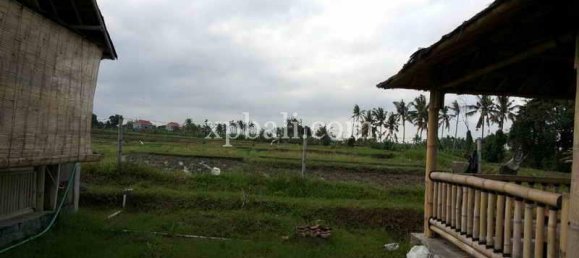 Terrain à Mengwi, Indonesia 1840m² No. 3808 2