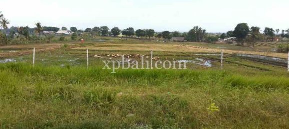 Terrain à Mengwi, Indonesia 1840m² No. 3808 5