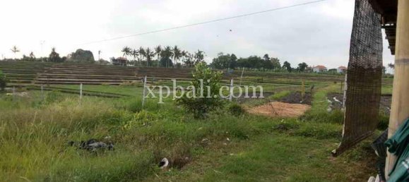 Terrain à Mengwi, Indonesia 1840m² No. 3808 8