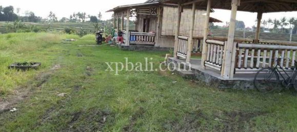 Terrain à Mengwi, Indonesia 1840m² No. 3808 7