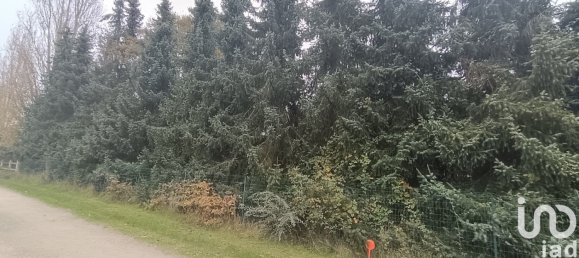 Terrain à Mazières-de-Touraine, France 1033m² No. 215832 6