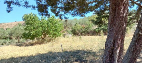 Terreno en Prizzi, Italy 22 m² No. 256225 10