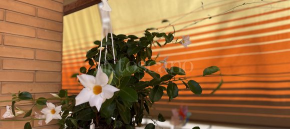 3 rooms House in Rome, Italy No. 311328 27