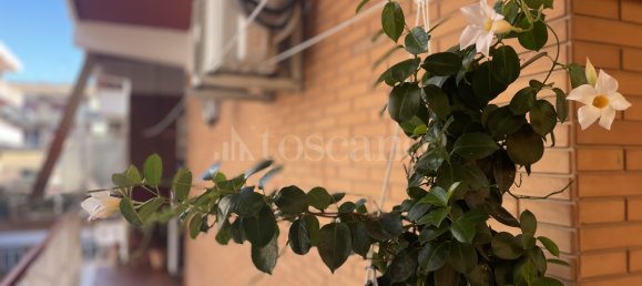 3 rooms House in Rome, Italy No. 311328 28