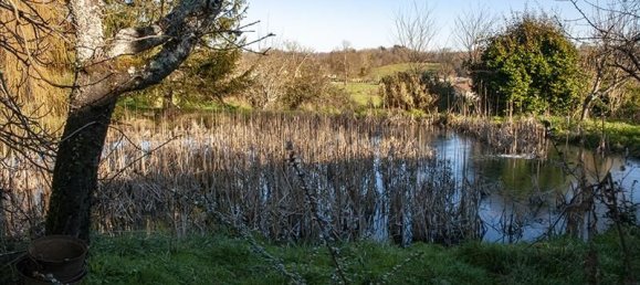 5 bedrooms House in Saint-Saud-Lacoussiere, France No. 341882 5