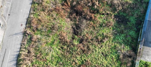 Terrain à Lodi Vecchio, Italy 1214m² No. 42836 3