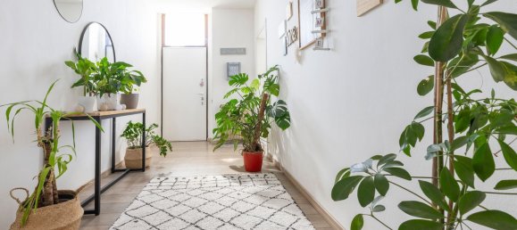 3 bedrooms Apartment in Venegono Superiore, Italy No. 363470 12