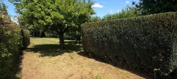 8 bedrooms Townhouse in Lippe, Germany No. 223121 17