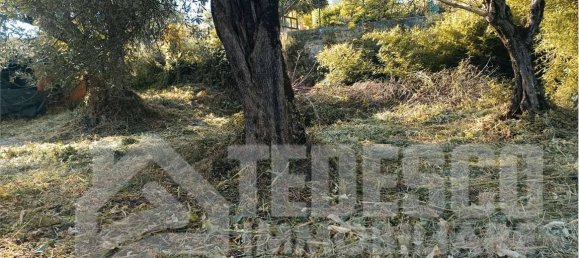 4 rooms House in Sant'Angelo a Cupolo, Italy No. 300407 3