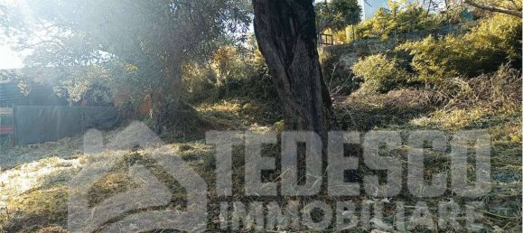 4 rooms House in Sant'Angelo a Cupolo, Italy No. 300407 2