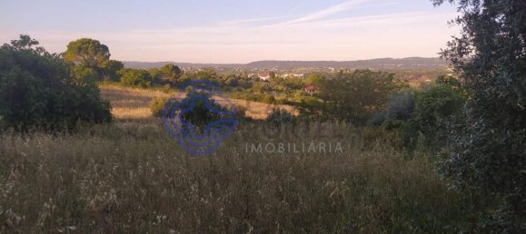 Terreno en Tomar, Portugal 1502 m² No. 79595 14