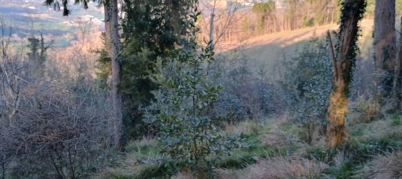 4-salle Villa à Montescudo Monte Colombo, Italy No. 200717 42