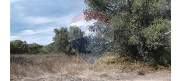 14830m² Land in Santa Catarina da Fonte do Bispo, Portugal No. 163897 15