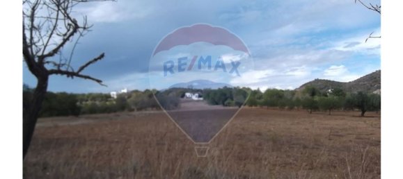 14830m² Land in Santa Catarina da Fonte do Bispo, Portugal No. 163897 25