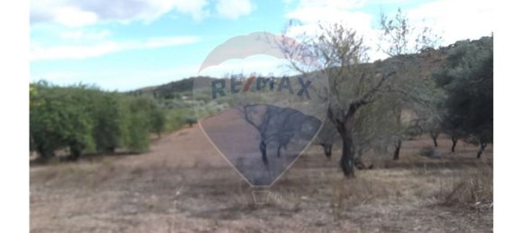 14830m² Land in Santa Catarina da Fonte do Bispo, Portugal No. 163897 21