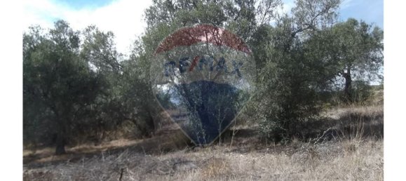 14830m² Land in Santa Catarina da Fonte do Bispo, Portugal No. 163897 10