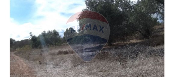 14830m² Land in Santa Catarina da Fonte do Bispo, Portugal No. 163897 11