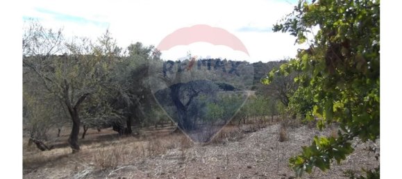 14830m² Land in Santa Catarina da Fonte do Bispo, Portugal No. 163897 20