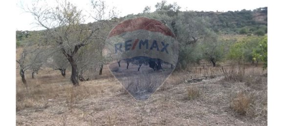 14830m² Land in Santa Catarina da Fonte do Bispo, Portugal No. 163897 23