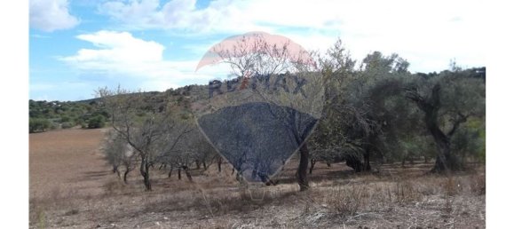 14830m² Land in Santa Catarina da Fonte do Bispo, Portugal No. 163897 19