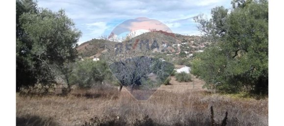 14830m² Land in Santa Catarina da Fonte do Bispo, Portugal No. 163897 14