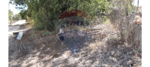 14830m² Land in Santa Catarina da Fonte do Bispo, Portugal No. 163897 8
