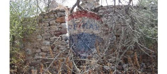 14830m² Land in Santa Catarina da Fonte do Bispo, Portugal No. 163897 2