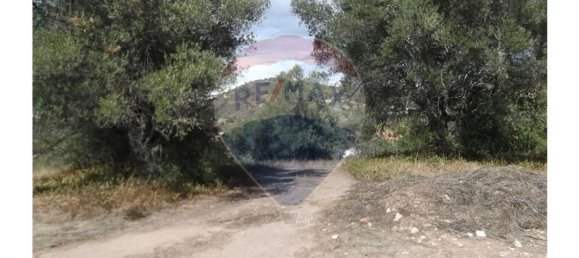 14830m² Land in Santa Catarina da Fonte do Bispo, Portugal No. 163897 16