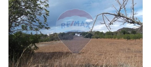 14830m² Land in Santa Catarina da Fonte do Bispo, Portugal No. 163897 24