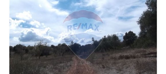 14830m² Land in Santa Catarina da Fonte do Bispo, Portugal No. 163897 12