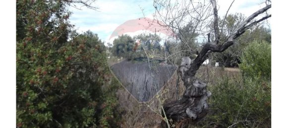 14830m² Land in Santa Catarina da Fonte do Bispo, Portugal No. 163897 18