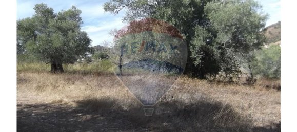 14830m² Land in Santa Catarina da Fonte do Bispo, Portugal No. 163897 13