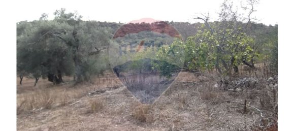 14830m² Land in Santa Catarina da Fonte do Bispo, Portugal No. 163897 22
