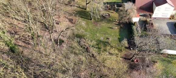 6 rooms House in Brandenburg an der Havel, Germany No. 112789 11