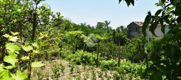 Дом с 5 спальнями в Палуди, Италия № 301990 3