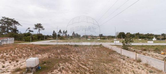 4 Schlafzimmer Haus in Ilhavo, Portugal, Nr. 21336 43