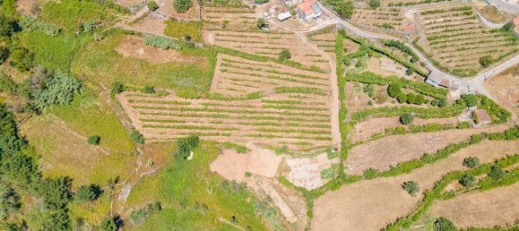 Casa de 3 dormitorios en Baiao, Portugal No. 182571 15