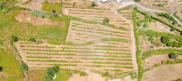 Casa de 3 dormitorios en Baiao, Portugal No. 182571 14