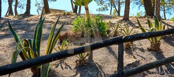 4 Schlafzimmer Haus in Sesimbra, Portugal, Nr. 51225 47