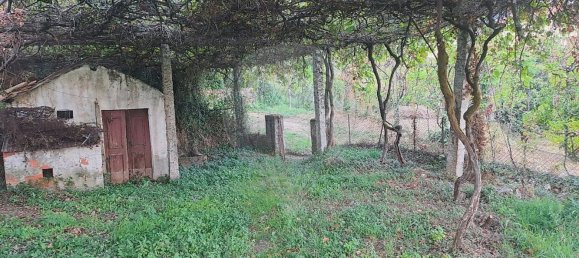 1 غرف نوم منزل في Arcos de Valdevez, Portugal رقم 165227 21