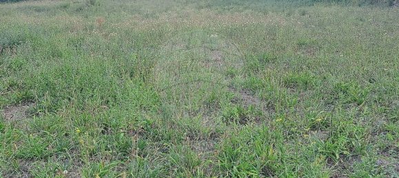 1 غرف نوم منزل في Arcos de Valdevez, Portugal رقم 165227 24