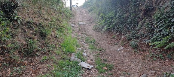 1 غرف نوم منزل في Arcos de Valdevez, Portugal رقم 165227 26