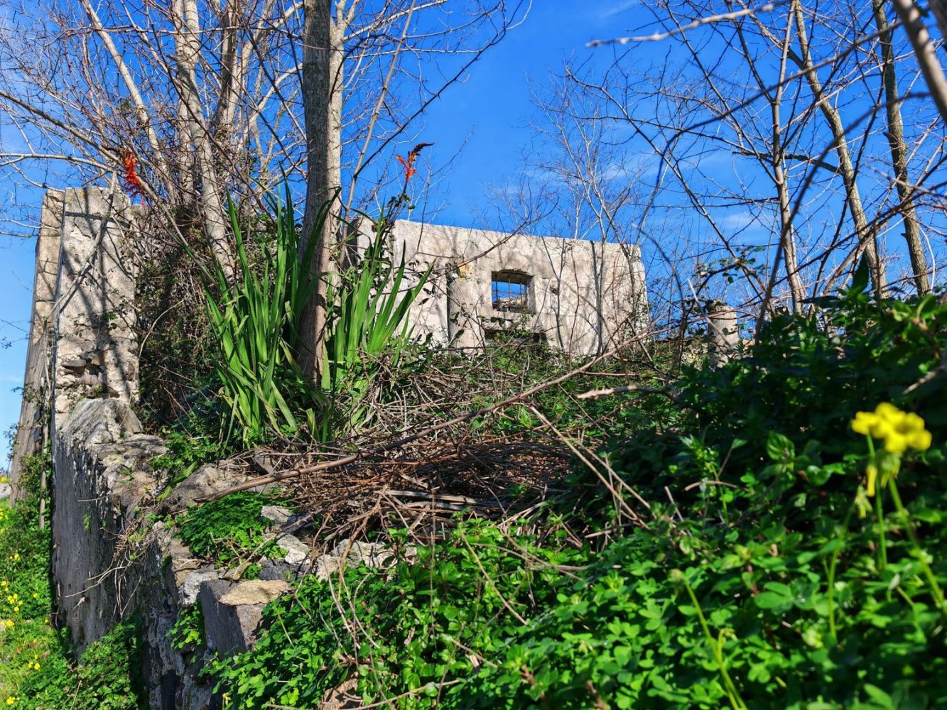 1100m² Land in Lipari, Italy No. 122057