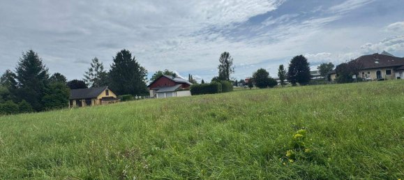 Terrain à Hartberg, Austria No. 218753 3