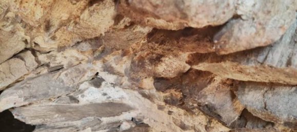 Casa de 4 dormitorios en Calice Ligure, Italy No. 101967 16